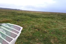 torfowisko, po lewej banknoty polskie