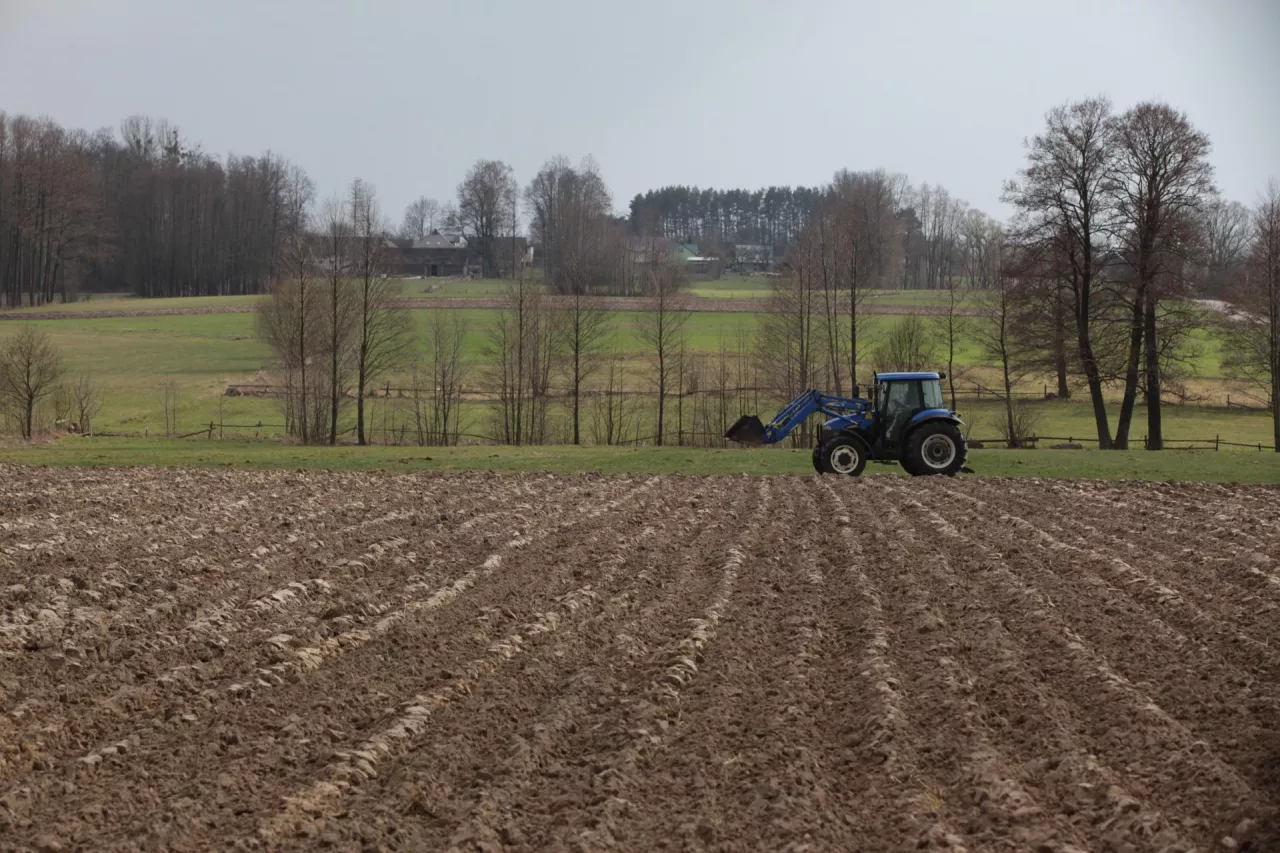 działka rolna, KOWR, dzierżawa