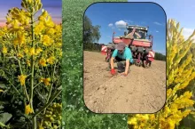 150 ha w Lubelskiem kukurydza, sorgo i rzepak.