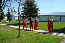 bioasekuracja, wejście do chlewni, pracownicy