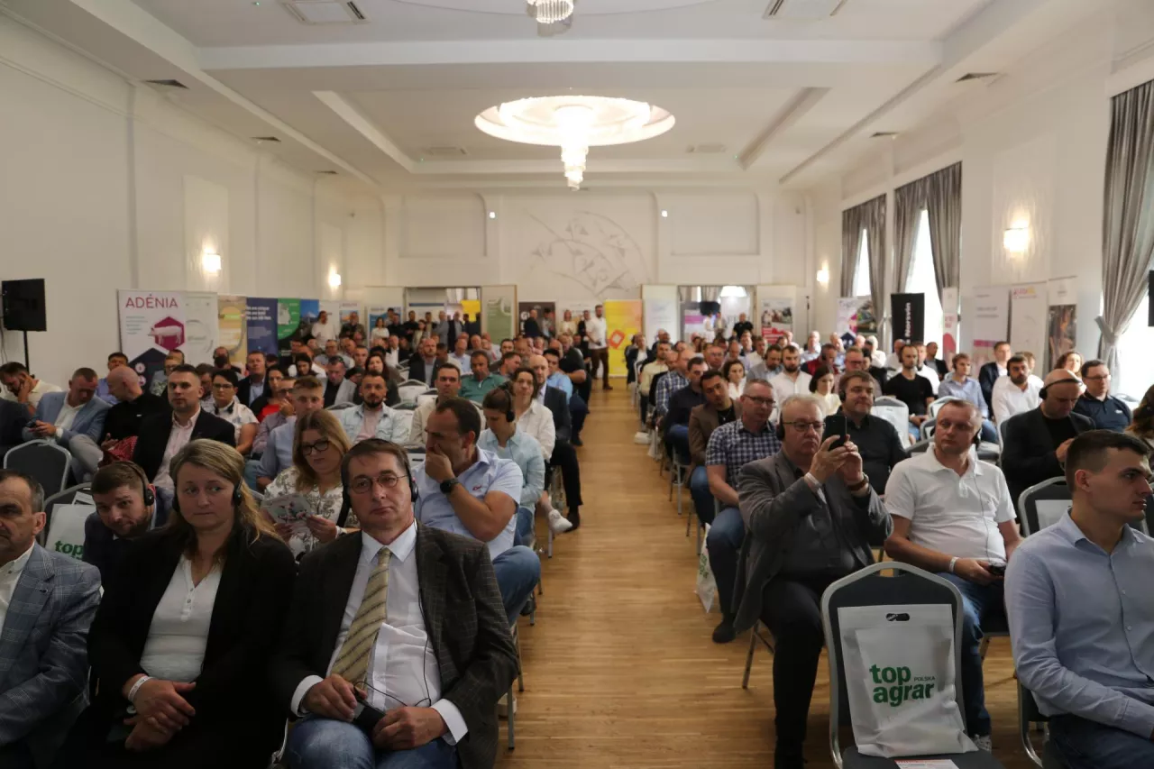 Forum Świnie 2025