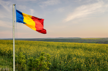 Pole kwitnoącego rzepaku. Na pierwszym planie flaga Rumunii