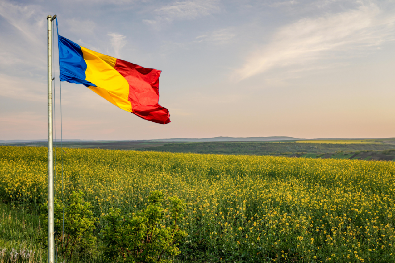 Pole kwitnoącego rzepaku. Na pierwszym planie flaga Rumunii