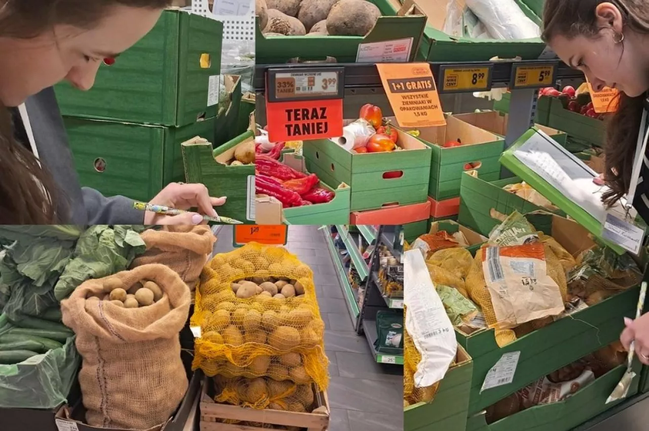 Kontrole ziemniaków z importu. WIORiN sprawdza dokumenty i bulwy