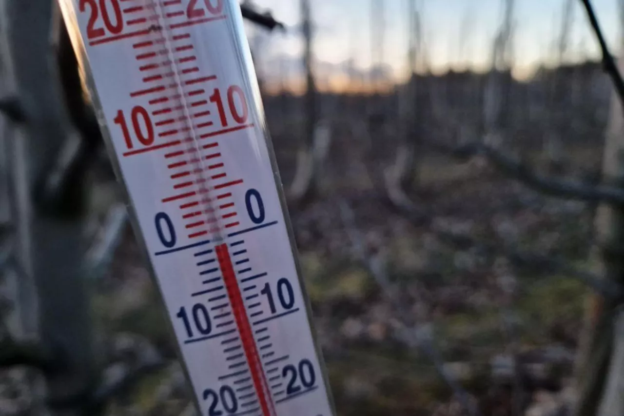 przymrozki, przymrozek, IMGW, temperatura