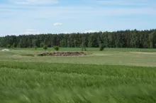 ziemia rolna, pole, gospodarstwo, jęczmień