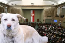 Za ustawą głosowało 381 parlamentarzystów, przeciw było 28, a 5 osób wstrzymało się od głosu