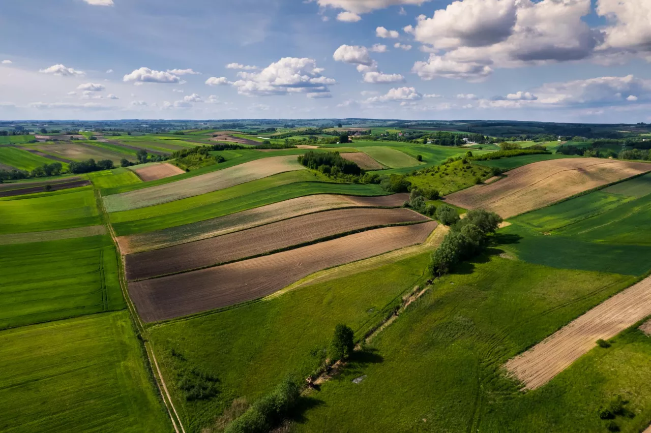 Colorful Lush Crop Fields in Rural Counrtyside Landscape. Aerial Drone View. Polish Farmlands.