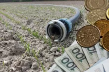 Susza staje się jednym z największych zagrożeń dla gospodarstw