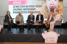 forum świnie nowy adamów