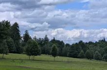gospodarstwo rolne, pastwisko