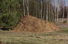 pryzma obornika