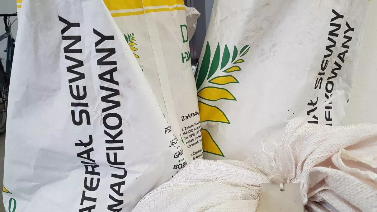 Materiał siewny; Fot. Katarzyna Szulc