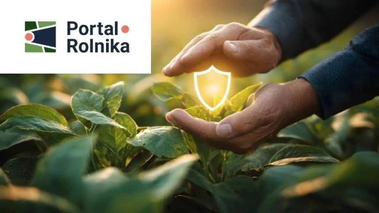 Portal Rolnika — jedna platforma zamiast kilku systemów