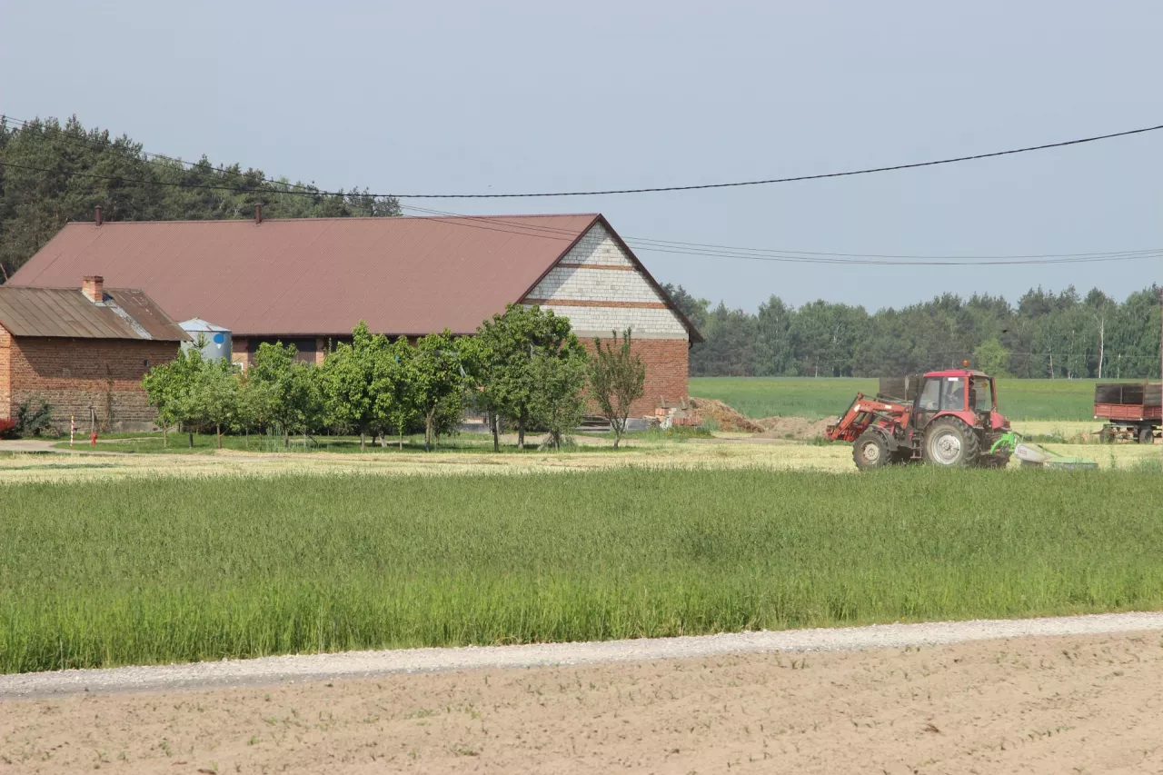 Czy polscy producenci są w stanie konkurować z ukraińskimi gigantami?