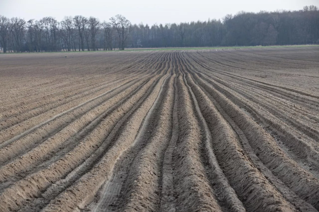 Katarzyna Sierszeńska