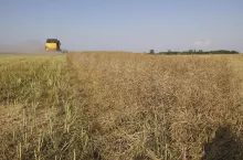 Dzierżawa ziemi po darowiźnie od rodziców. Czy potrzebna jest zgoda KOWR?
