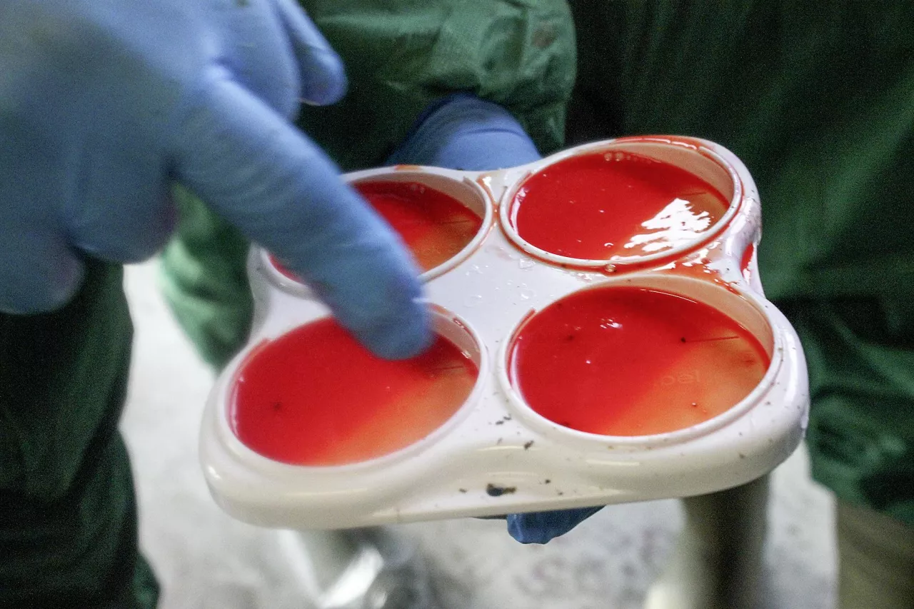 Mastitis może zwiększać ślad węglowy produkcji mleka, ponieważ krowy chore na zapalenie wymienia wykazują istotnie wyższą intensywność emisji metanu.