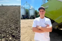 Dziki wyrządziły szkody w kukurydzy Patryka Zdziarskiego