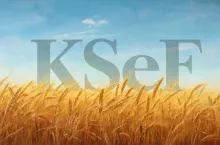 Samofakturowanie rolnika a KSeF – czy nadal może być praktykowane?