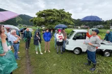 Uprawa Kapusty Japonia