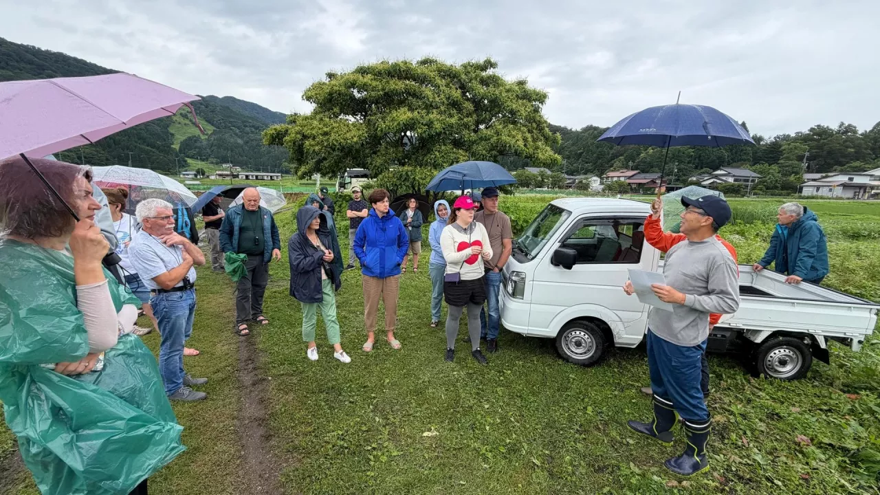 Uprawa Kapusty Japonia