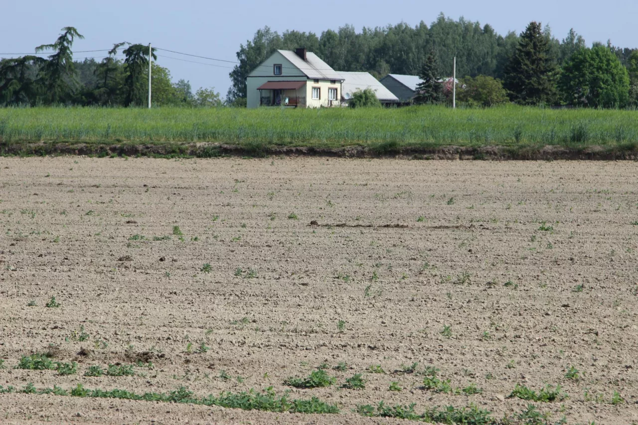 Największe zmiany dotyczą trzech obszarów: oceny powierzchni gospodarstwa, wcześniejszego korzystania z gruntów Zasobu, wprowadzenia zupełnie nowego kryterium aktywności produkcyjnej.