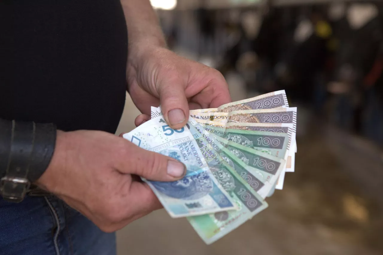 Wyższa renta wdowia lub niższe podatki: ta propozycja może zainteresować także rolników