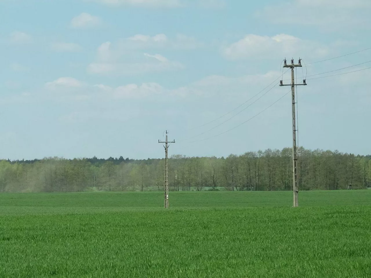 Słupy energetyczne na gruncie rolnika. Jak ubiegać się o odszkodowanie?