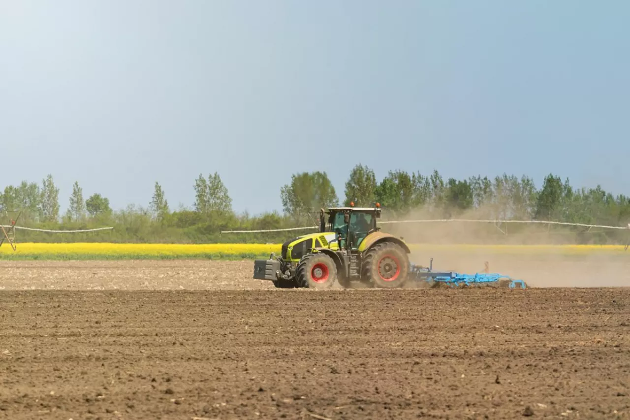 Ciągnik Claas pracujący w polu