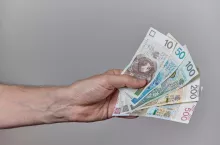 Close-up of a hand holding Polish zloty banknotes on a neutral background. Concept of salary, savings, budget, investment, income, finance, or economic transaction.