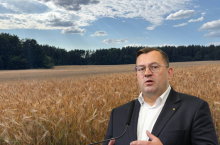 minister rolnictwa Stefan Krajewski na tle pola dojrzewających zbóż przy lesie