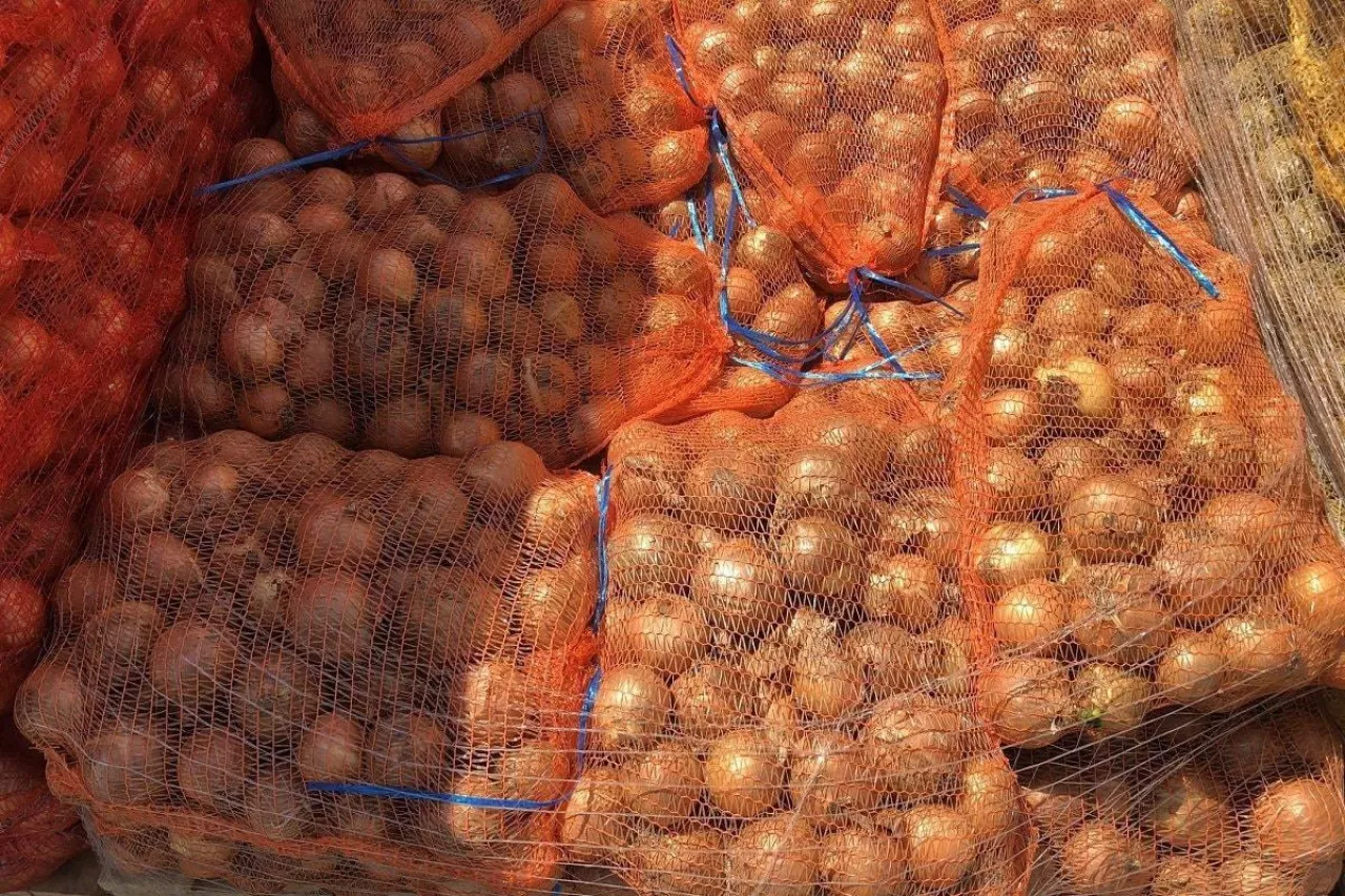 Cebula do Polski płynie głównie z Holandii. Import przekroczył 50 tys. ton