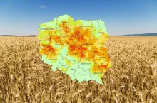Susza rolnicza, 6-ty raport suszowy
