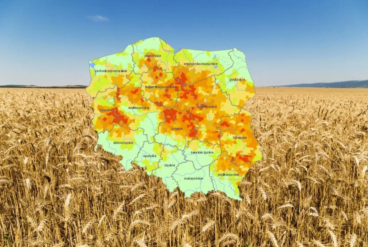 Susza rolnicza, 6-ty raport suszowy