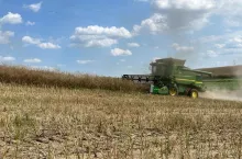 Początek koszenia rzepaku