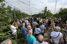 Letnie Pokazy Czereśniowe 2025
