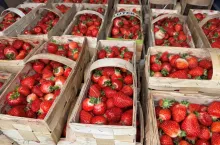 Łubianki z truskawkami przygotowane do sprzedaży