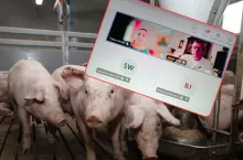 Spotkanie producentów świń i przedstawicieli MRiRW