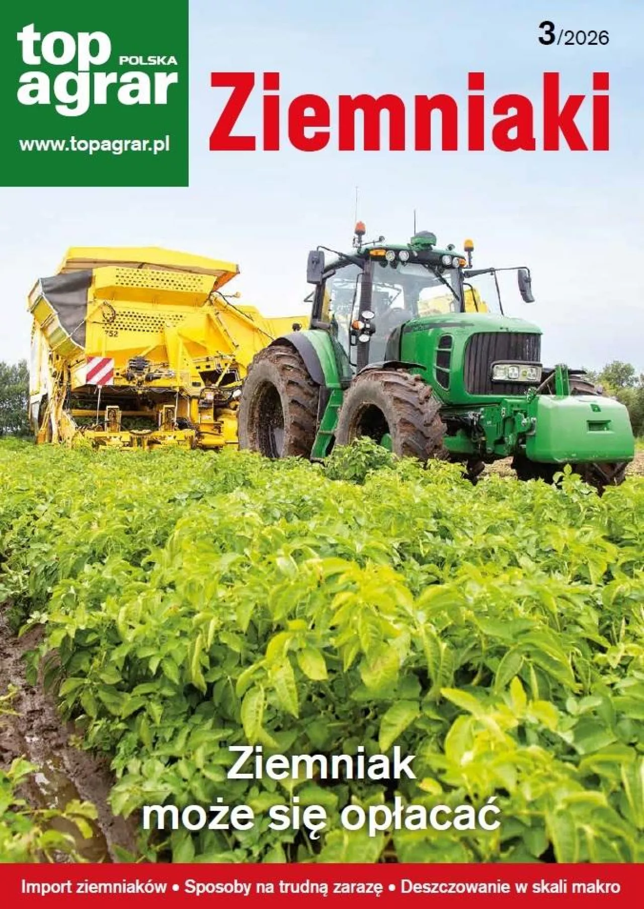 top ziemniaki