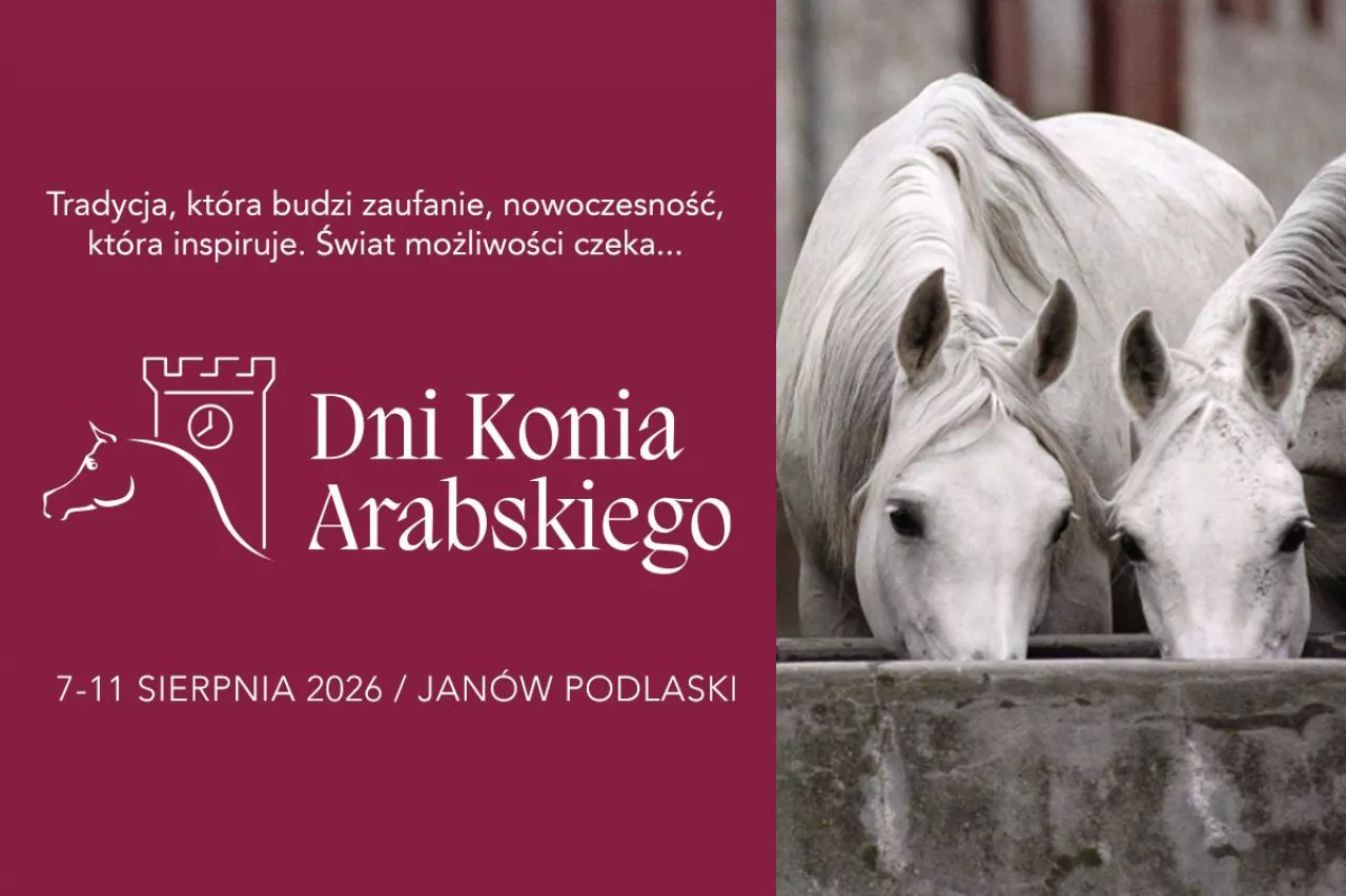 Dni Konia Arabskiego 2026