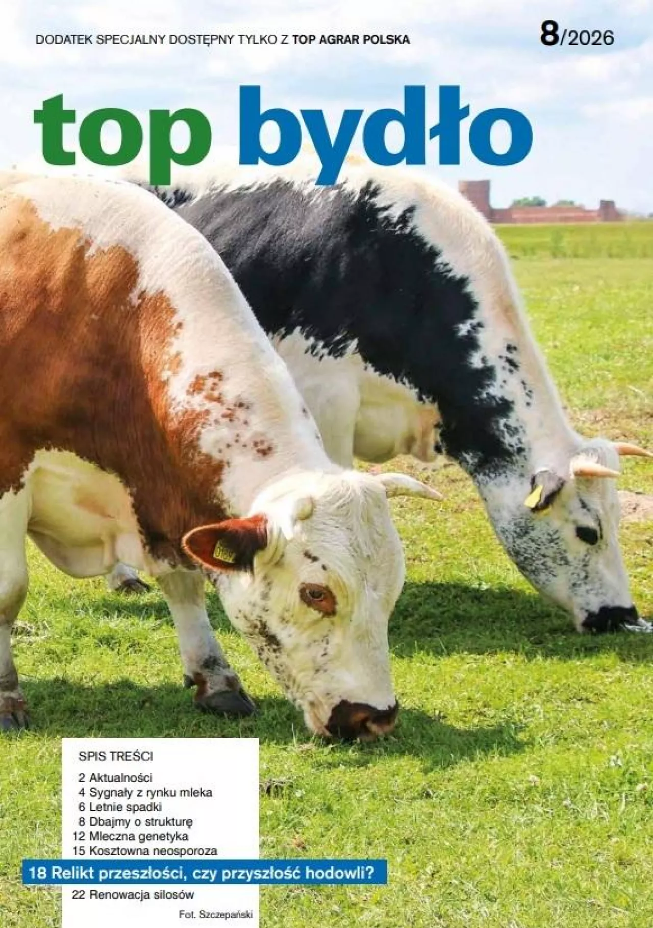 Okładka top bydło