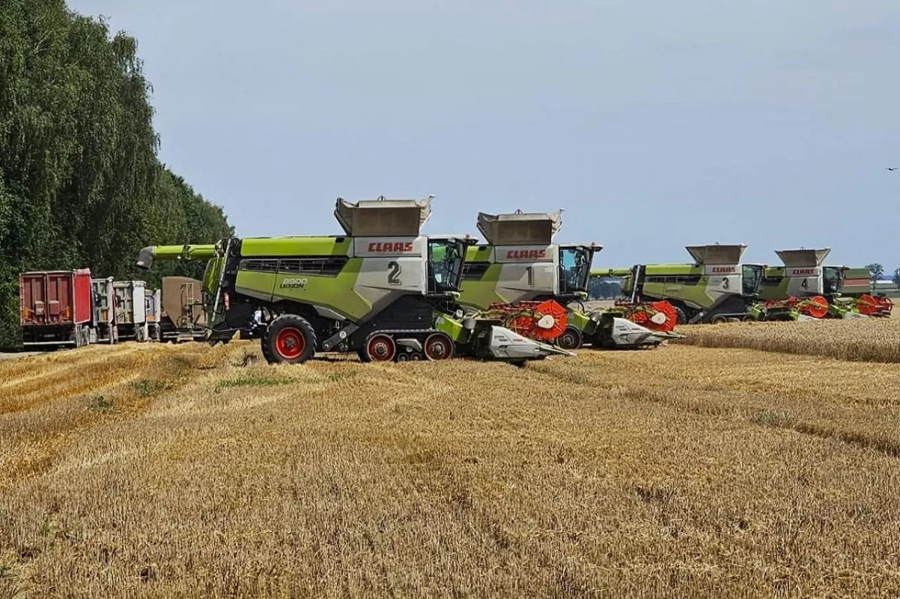 Kombajny zbożowe marki Claas na polu podczas żniw