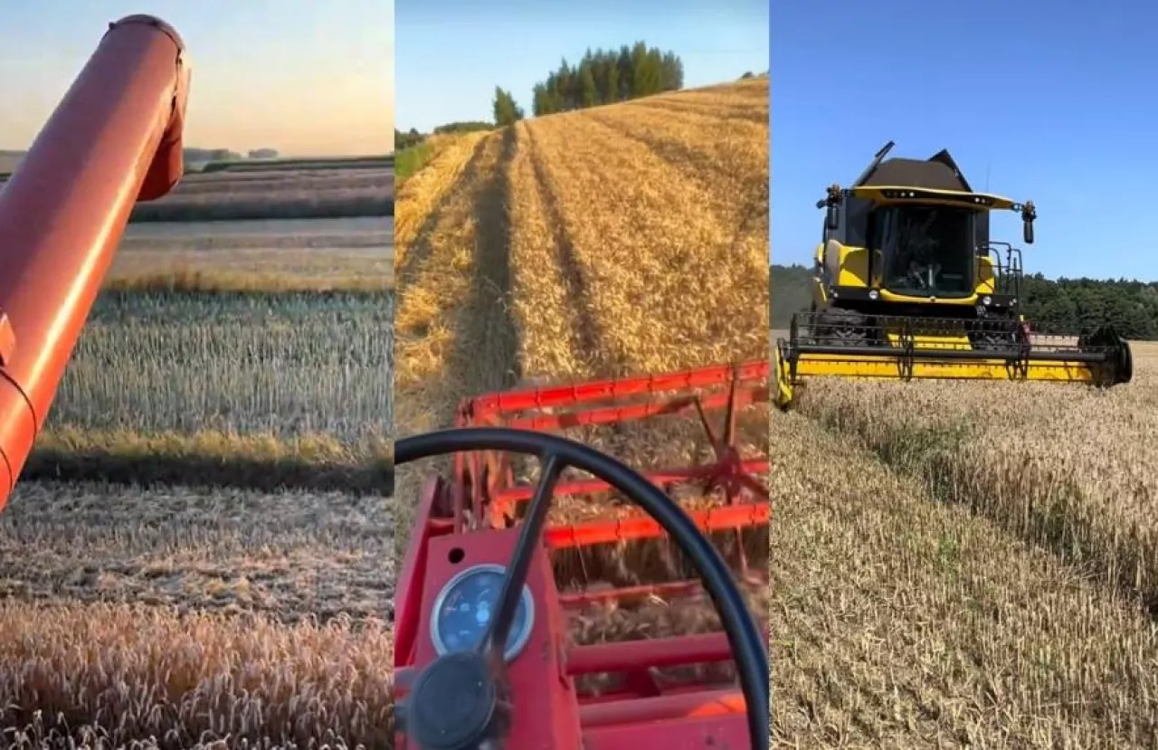 żniwa 2026