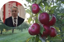 Mirosław Maliszewski komentuje przyznanie jabłkom krajeńskim Chronionego Oznaczenia Geograficznego