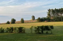 Kombajn wyzypuje zebrane zboże do przyczepy rolniczej na pagórkowatym polu