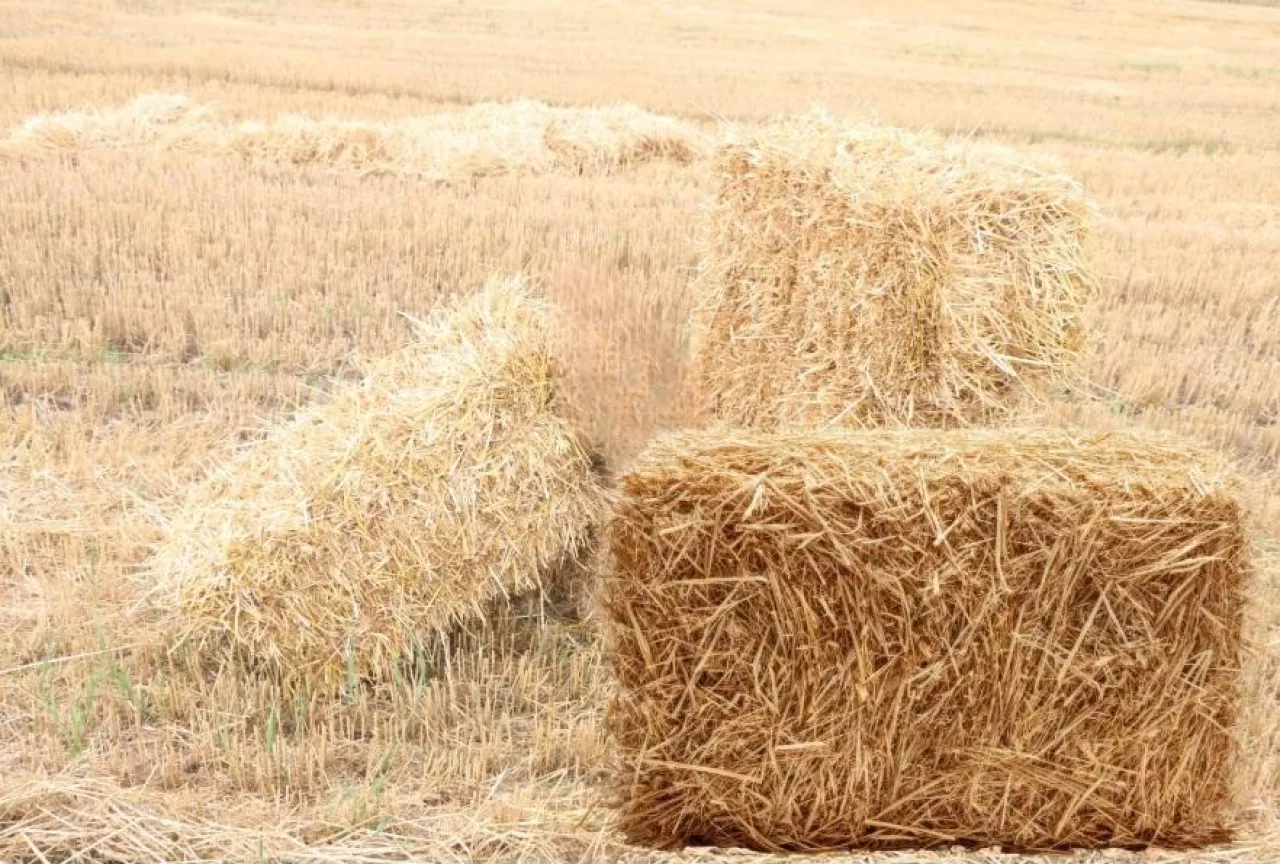 kostka słomy, prasowanie w kostkę