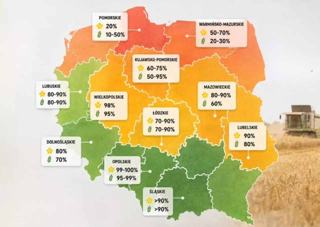 Postęp żniw w Polsce 2026