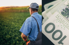 rolnik nstojący tyłem na plu, po prawej banknoty polskie