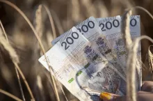 Nawet 10 mln zł na przetwórstwo. Rusza nabór wniosków: rolnicy i firmy mogą skorzystać z dotacji